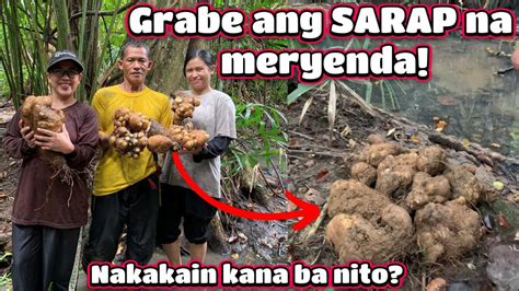 iyot sa bukid|Sa Gubat Dinonselya Ang Masikip na Kweba ni Maria (Iyot sa Pwit).